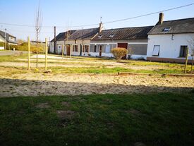 Plantation d'arbre à la salle des fêtes